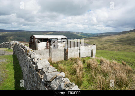 Stazione ferroviaria van pecore penna su Buttertub passano nel Yorkshire Dales Foto Stock