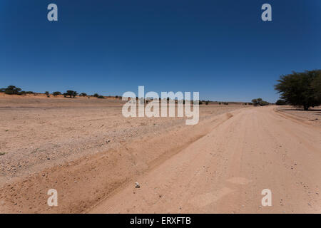 Panorama da Kgalagadi National Park, Sud Africa Foto Stock