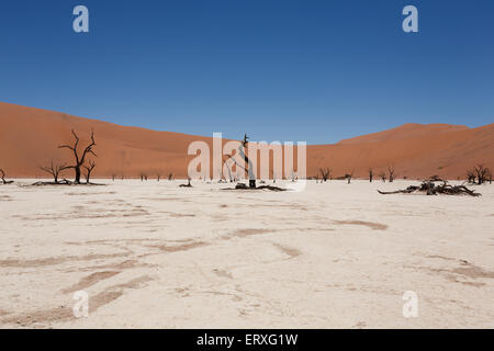 Una vista dal Dead Vlei, Sossusvlei Namibia Foto Stock