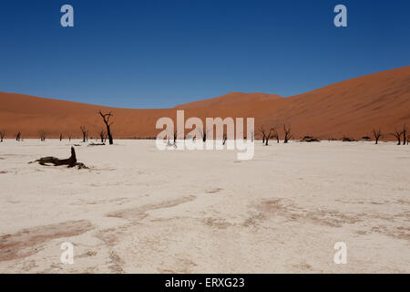 Una vista dal Dead Vlei, Sossusvlei Namibia Foto Stock