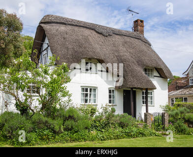 Cottage con il tetto di paglia nel villaggio di Martin, Hampshire, Inghilterra, Regno Unito Foto Stock