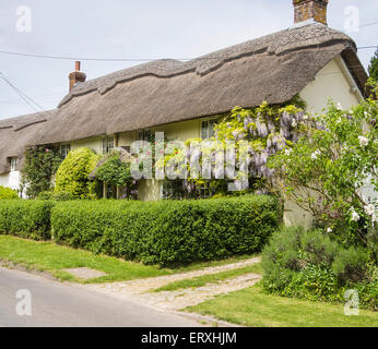 Cottage con il tetto di paglia nel villaggio di Martin, Hampshire, Inghilterra, Regno Unito Foto Stock