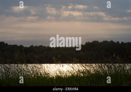 Fiume Vistola vicino a Varsavia il giorno di primavera Foto Stock