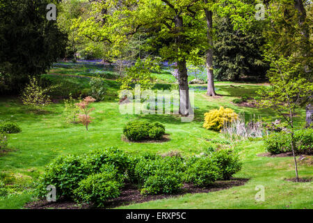 Il Giubileo giardino nei boschi della struttura Bowood Station Wagon nel Wiltshire. Foto Stock