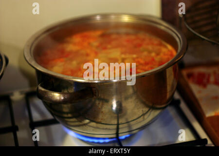 La preparazione di zuppa di verdure fatta in casa. Foto Stock