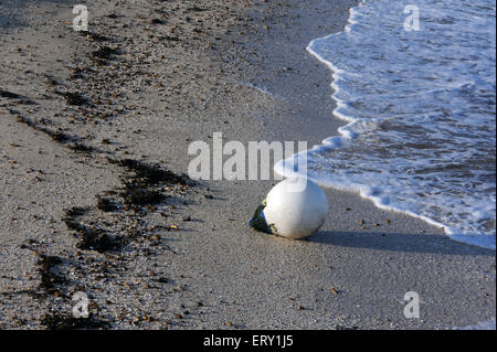 Un bianco di plastica lavaggi di boa fino ad una spiaggia di sabbia. Whitstable, Kent, Regno Unito Foto Stock