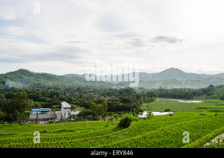 Tulungagung vedute del villaggio nella città, East Java, Indonesia Foto Stock