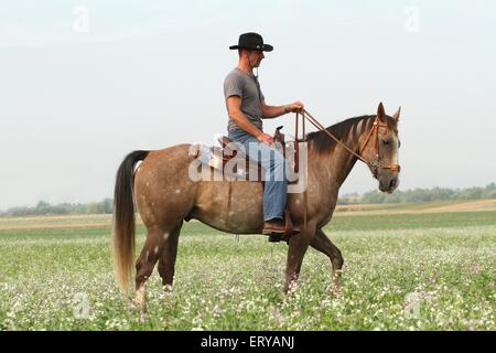 L'uomo corse American Paint Horse Foto Stock