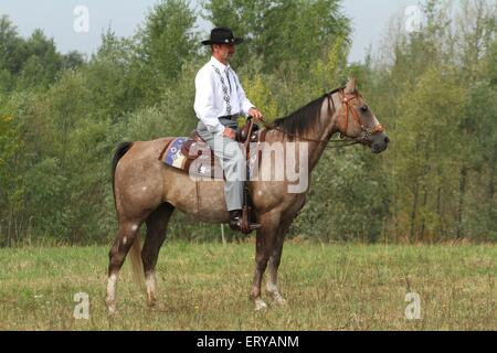 L'uomo corse American Paint Horse Foto Stock