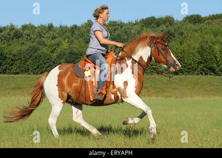 La donna corse Pinto Foto Stock