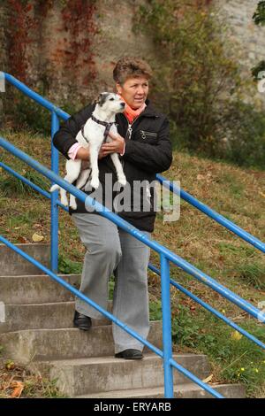 La donna è un carriing Parson Russell Terrier Foto Stock