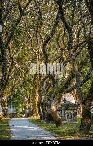 Il vecchio cimitero protestante di George Town, Penang, Malaysia Foto Stock