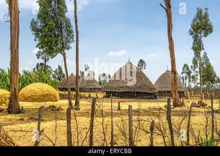 Villaggio Tradizionale case vicino ad Addis Abeba, Etiopia, Africa Foto Stock