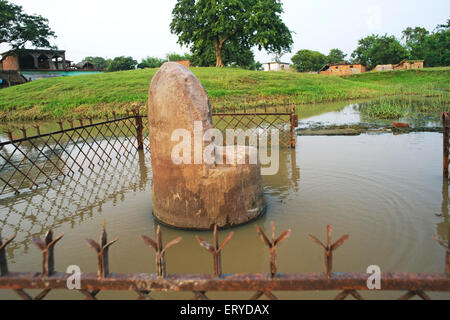 Pilastro di Ashoka stupa ; Patrimonio Mondiale dell'UNESCO ; luogo di nascita del Buddha di Krakuchanda , Gotihawa , Lumbini ; Distretto di Rupandehi , Nepal , Asia Foto Stock