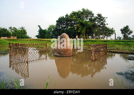 Pilastro di Ashoka stupa ; Patrimonio Mondiale dell'UNESCO ; luogo di nascita del Buddha di Krakuchanda , Gotihawa , Lumbini ; Distretto di Rupandehi , Nepal , Asia Foto Stock