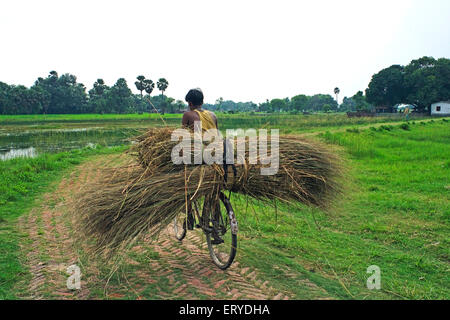 Uomo di equitazione ; del ciclo di vita del villaggio ; Kesariya a Salimpur ; stupa del Buddha ; Bihar ; India Foto Stock