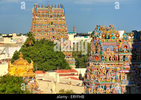 Meenakshi sundareswarar , tempio meenakshi amman ; Madurai ; Tamil Nadu ; India , asia Foto Stock