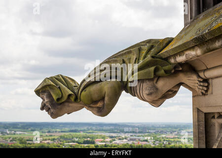 Gargoyle, Ulm Minster, Ulm, Baden-Württemberg, Germania Foto Stock