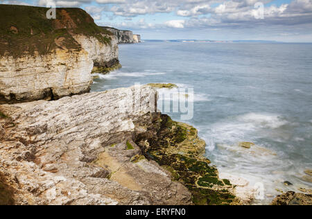 Costa visto da Thornwick Bay, Flamborough, Bridlington, nello Yorkshire, Inghilterra Foto Stock