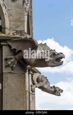 Doccioni, Ulm Minster, Ulm, Baden-Württemberg, Germania Foto Stock