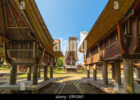 Fila di case tradizionali in un tipico villaggio tradizionale di Tana Toraja, Sulawesi meridionale, Indonesia. Ampio angolo di vista da sotto Foto Stock