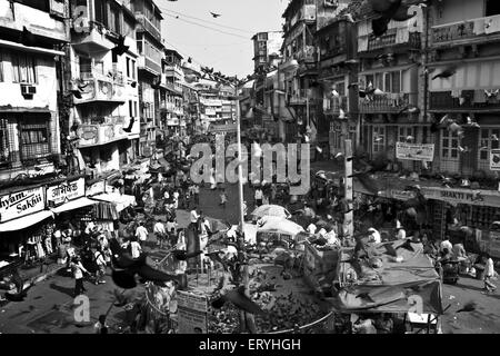 Kabutar Khana ; Bhuleshwar ; Bombay , Mumbai ; Maharashtra ; India , asia Foto Stock