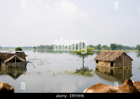 Case sommerse, fiume Kosi alluvione, Koshi, Purnea, Purnia distretto, Bihar, India, Asia, indiano, asiatico Foto Stock