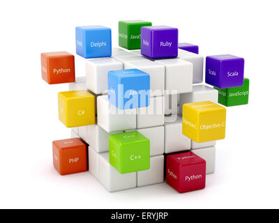 Concetto di programmazione. Macchina di diversi linguaggi codice casse colorate isolati su sfondo bianco Foto Stock