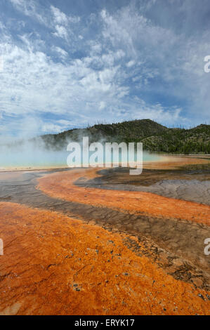 Grand Prismatic primavera calda nel parco nazionale di Yellowstone ; Wyoming ; Stati Uniti Stati Uniti d'America Foto Stock