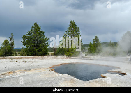 Grand Prismatic primavera calda ; il parco nazionale di Yellowstone ; Wyoming ; Stati Uniti Stati Uniti d'America Foto Stock