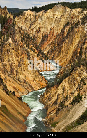 Yellowstone River Canyon , parco nazionale di Yellowstone ; Wyoming ; USA , Stati Uniti d'America Foto Stock