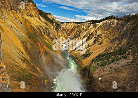 Yellowstone River Canyon , parco nazionale di Yellowstone ; USA , Stati Uniti d'America Foto Stock