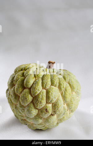 Frutti ; crema pasticcera zucchero apple apple annona squamosa su sfondo grigio Foto Stock