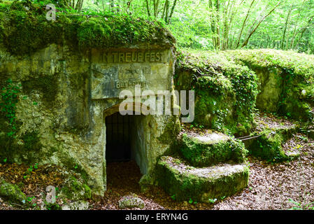 Il tedesco WWI bunker in calcestruzzo con iscrizione originale, Ailly foresta, Saint Mihiel salienti, Lorena, Francia Foto Stock