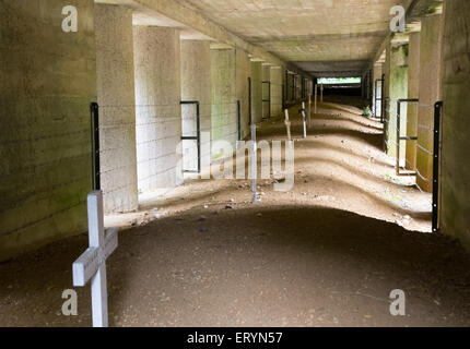 Scavo di baionette Prima Guerra Mondiale memorial, Verdun Foto Stock