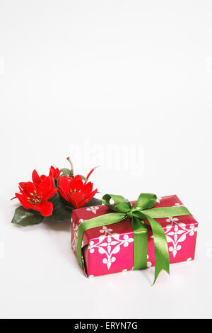 Confezione regalo con fiori di colore rosso nella festa di Natale Foto Stock