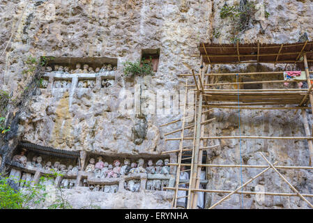 Tradizionale luogo di sepoltura di straordinaria bellezza in Suaya Tana Toraja, Sulawesi meridionale, Indonesia. Foto Stock