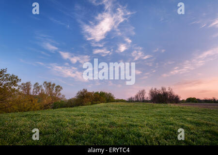 Bel tramonto. Paesaggio di primavera con il sentiero, alberi, cielo blu e nuvole in Ucraina Foto Stock