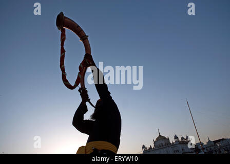 Sikh devotee Blowing tromba , Takhat Sachkhand Shri Hazur Abchalnagar Sahib Gurudwara , Nanded , Marathwada , Maharashtra , India , Asia Foto Stock