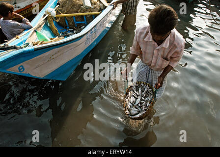 Lavaggio pesce in mare , mercato del pesce Kasimedu , porto di pesca Royapuram , Madras , Chennai , Tamil Nadu , India , Asia Foto Stock