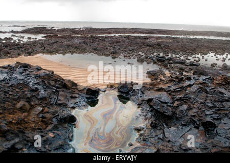 Inquinamento da danni causati da fuoriuscite di petrolio , Isola Elefanta , Bombay , Mumbai , Maharashtra , India , Asia Foto Stock