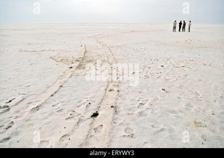 Marchio del piede nel residuo di sale al deserto di Thar ; Bhuj ; ; Kutch Gujarat ; India Foto Stock