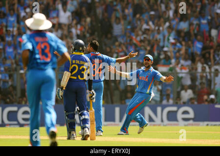 Bowler Zaheer Khan celebra Virat Kohli getting paletto Upul Tharanga ICC Cricket World Cup Wankhede stadium Mumbai Foto Stock