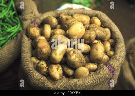 Patate in sacco di iuta, mercato vegetale Munnar ; Kerala ; India ; Asia Foto Stock