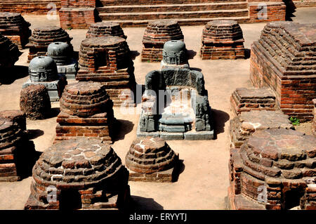 Nalanda University Ruds , Baragaon , Rajgir , Bihar , India , asia Foto Stock