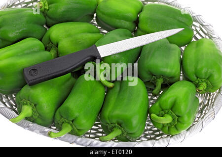 Peperoni Verdi latino Capsicum annuum in un cestello con due taglienti coltello con impugnatura nera ; India Foto Stock