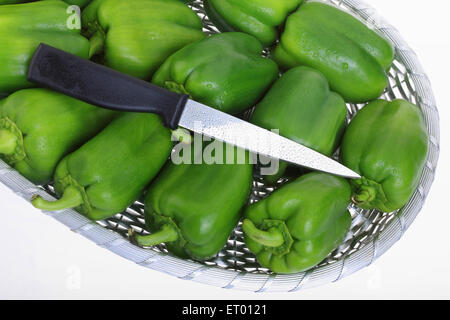 Peperoni Verdi latino Capsicum annuum in un cestello con due taglienti coltello con impugnatura nera ; India Foto Stock