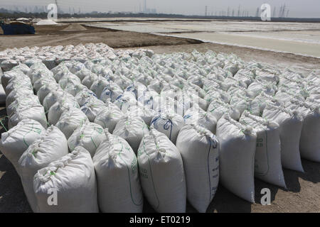 Sale di mare, saline, Wadala, saline farm, Bombay, Mumbai, Maharashtra, India, Asia Foto Stock