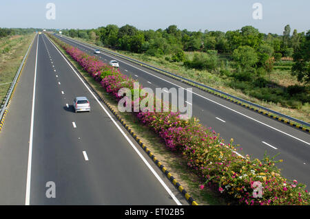 Ahmedabad Vadodara Expressway con fiori letto autorità Nazionale autostrade di India Gujarat India Asia Foto Stock