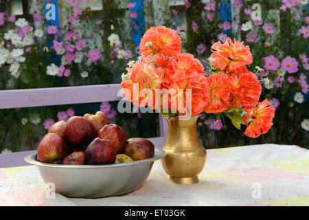 Mele e vaso di fiori , Hotel Hill Town , Chame , Manang , Gandaki zone , Nepal , Repubblica Democratica del Nepal , Asia meridionale , Asia Foto Stock